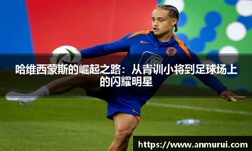 米兰(中国)官网